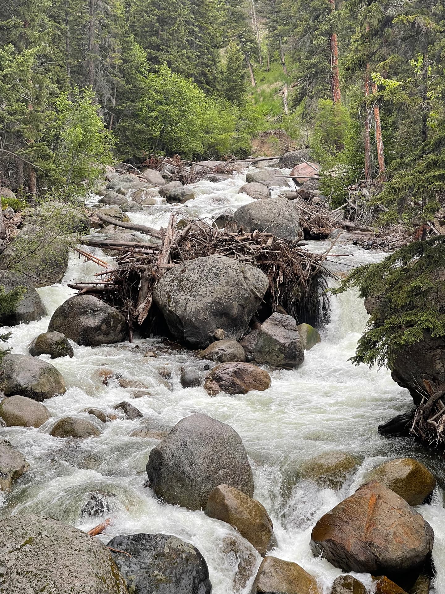 Snowmelt Creek — The Rockies